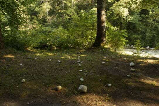 Medizinrad-im Wald Overath