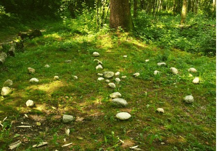 Medizinrad im Wald