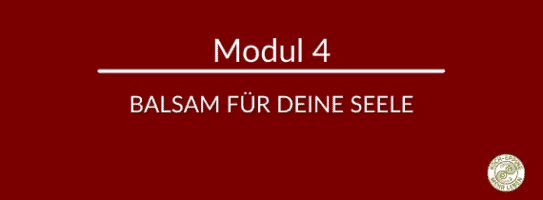 Du und dein Seelenplan