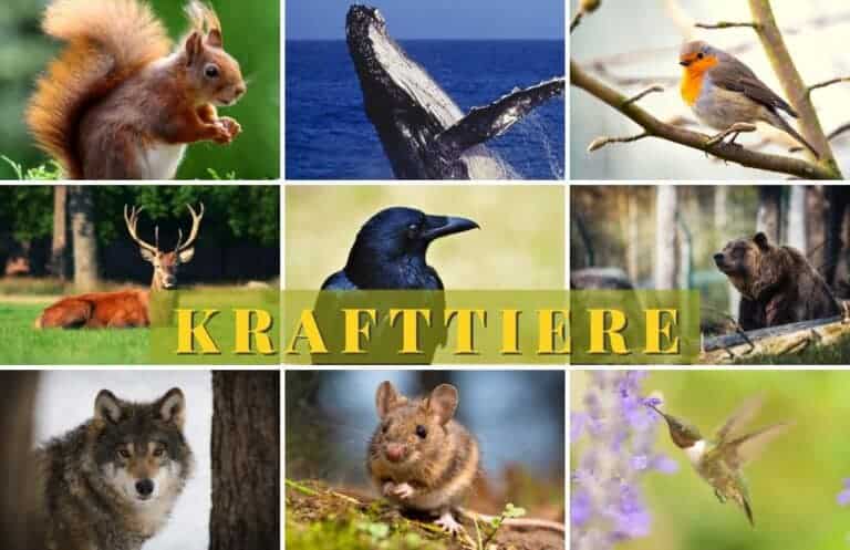 Tiere Und Ihre Bedeutung In Der Psychologie www.koch-epping.de