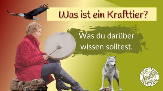 Was ist ein Krafttier