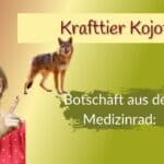 Medizinrad Krafttier Kojote