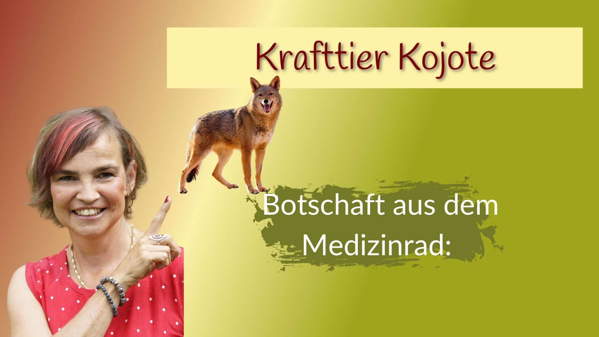 Medizinrad Krafttier Kojote