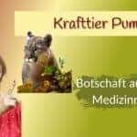 Krafttier Puma