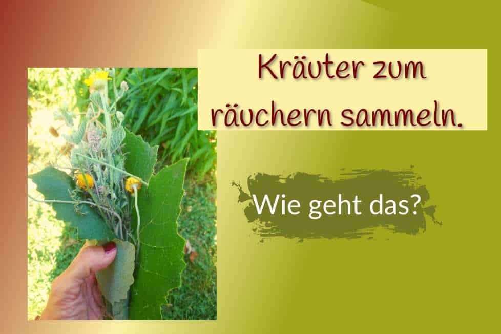 Kräuter zum räuchern werden als Sträußchen gebunden.