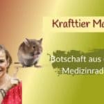 Krafttier Maus im Medizinrad