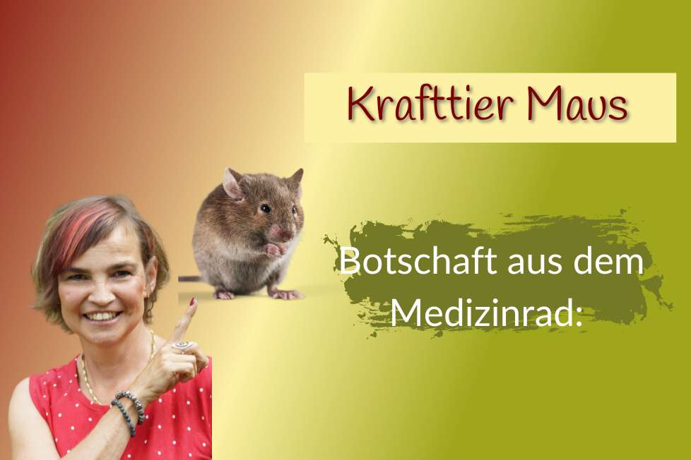 Krafttier Maus im Medizinrad