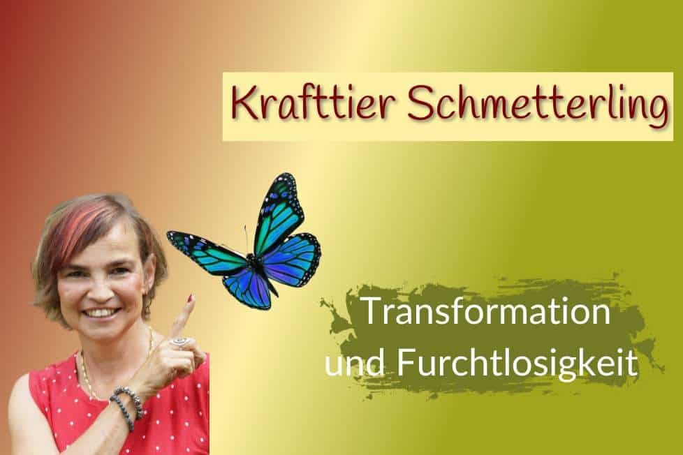 Das Krafttier Schmetterling steht für Transformation und Furchtlosigkeit