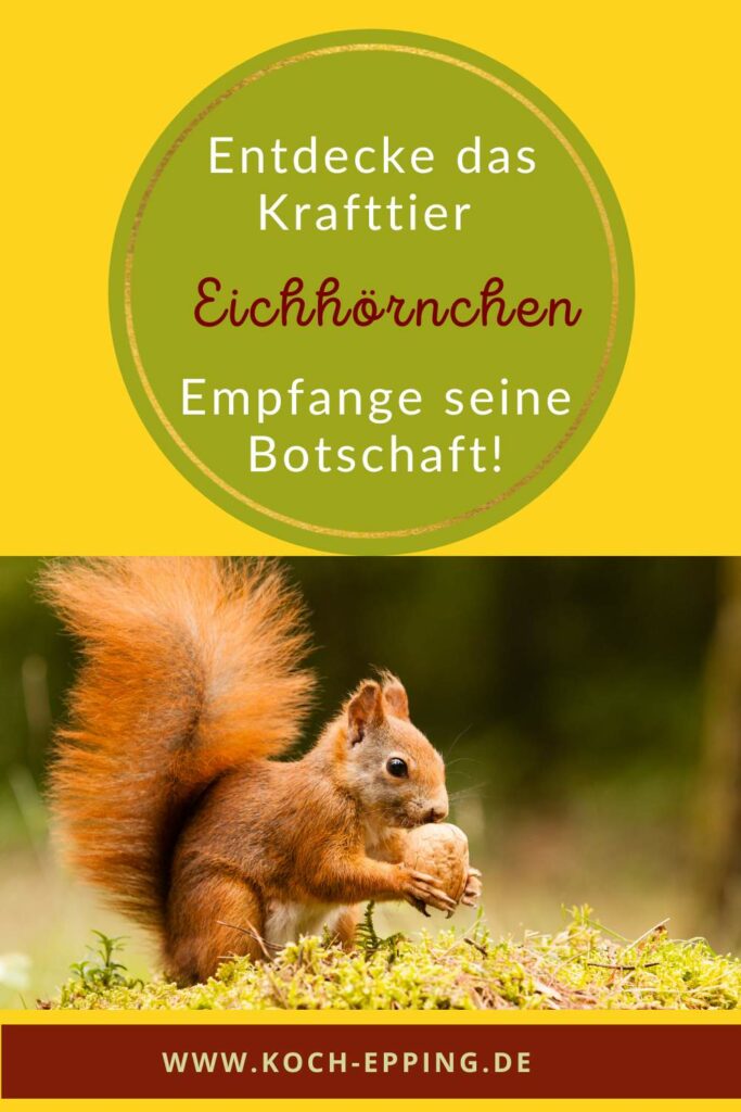 Das Eichhörnchen, mit seiner Botschaft, ist zu sehen.