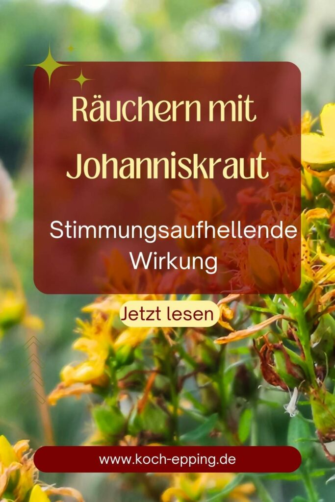 Johanniskraut