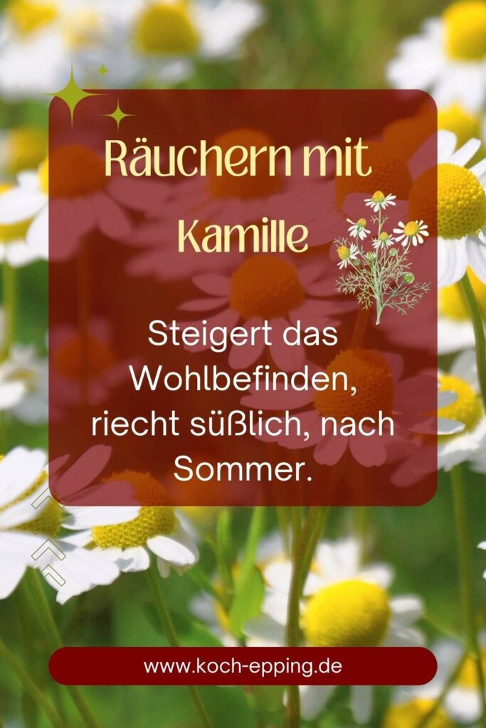 Kamillepflanzen